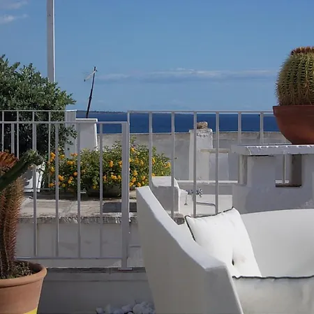 La Casa Dei Cactus Guest house *